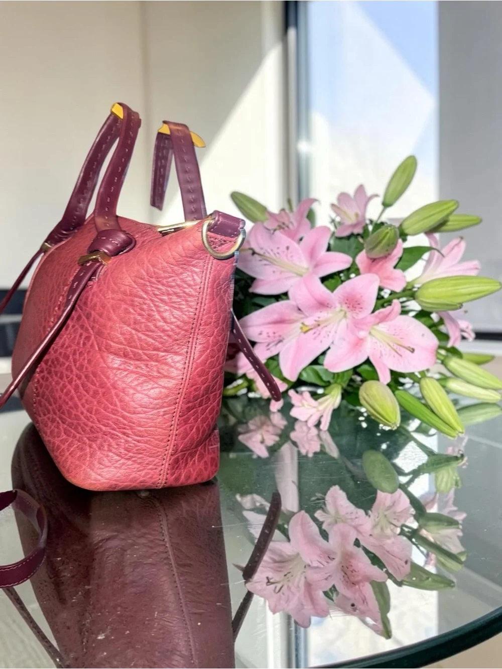Ted Baker Olmia in OxBlood Crossbod Tote- Like New - Picture 7 of 13